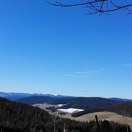Πανσιόν Forsthaus Taele - Gaestehaus Vom Schwarzwaldgasthaus Salenhof