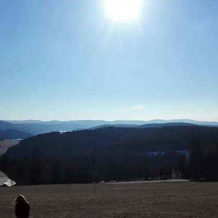 Forsthaus Taele - Gaestehaus Vom Schwarzwaldgasthaus Salenhof 3* Titisee-Neustadt