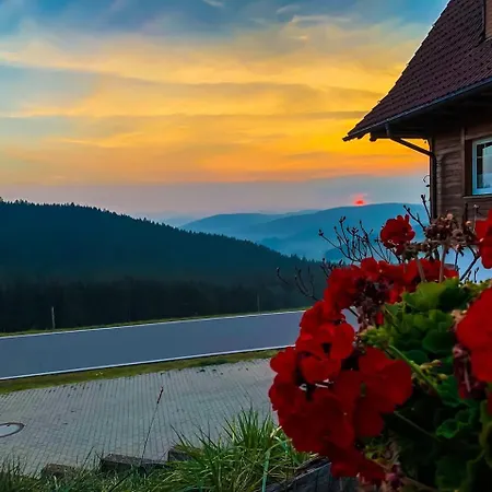 Πανσιόν Forsthaus Taele - Gaestehaus Vom Schwarzwaldgasthaus Salenhof Titisee-Neustadt